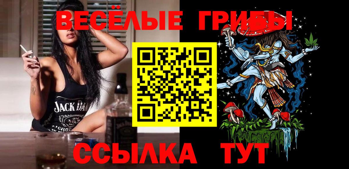 Железноводск  Галлюциногенные грибы мухоморы  Вход с VPN 